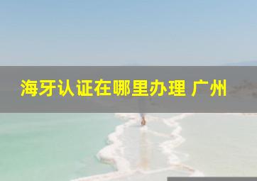 海牙认证在哪里办理 广州